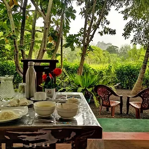  Проживание в семье Palace View Шри-Ланка